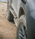 Lexus GX460 Overland Bolt On Rock Sliders | 2010-2020
